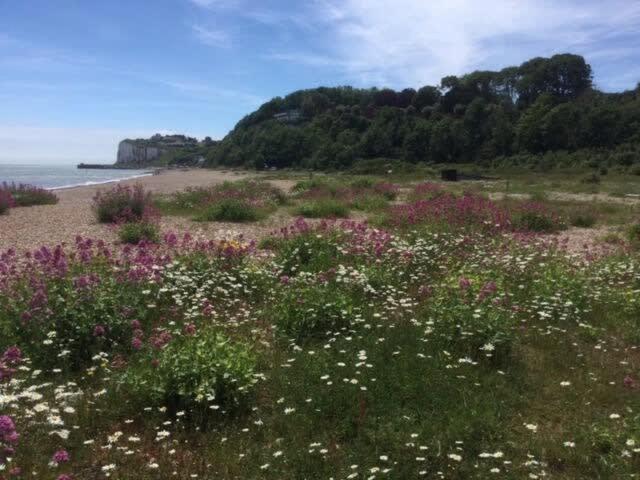 Mariner'S Cottage - On Kingsdown Beach دييْل المظهر الخارجي الصورة