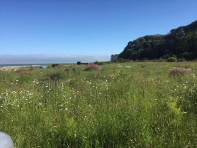 Mariner'S Cottage - On Kingsdown Beach دييْل المظهر الخارجي الصورة