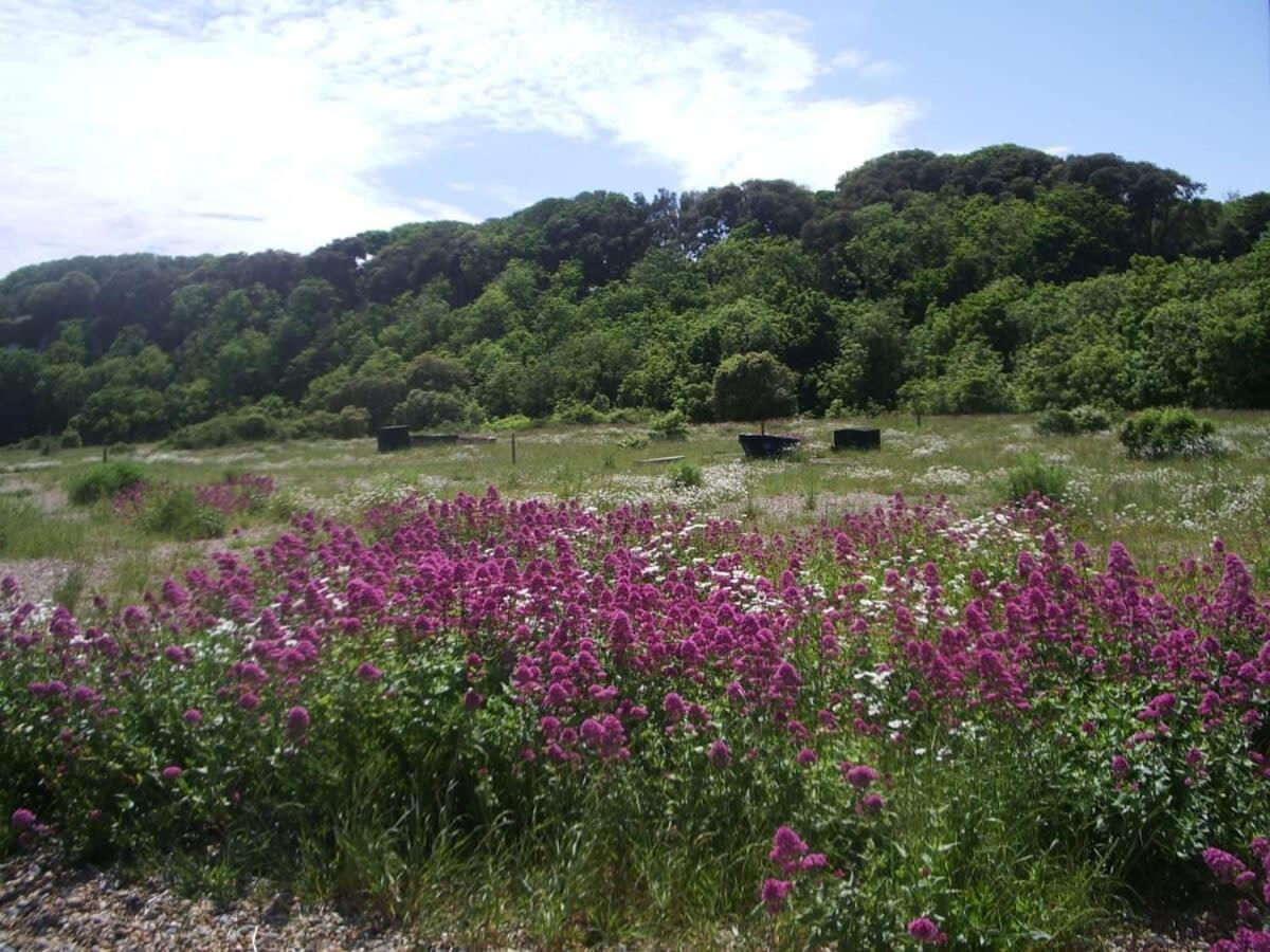 Mariner'S Cottage - On Kingsdown Beach دييْل المظهر الخارجي الصورة