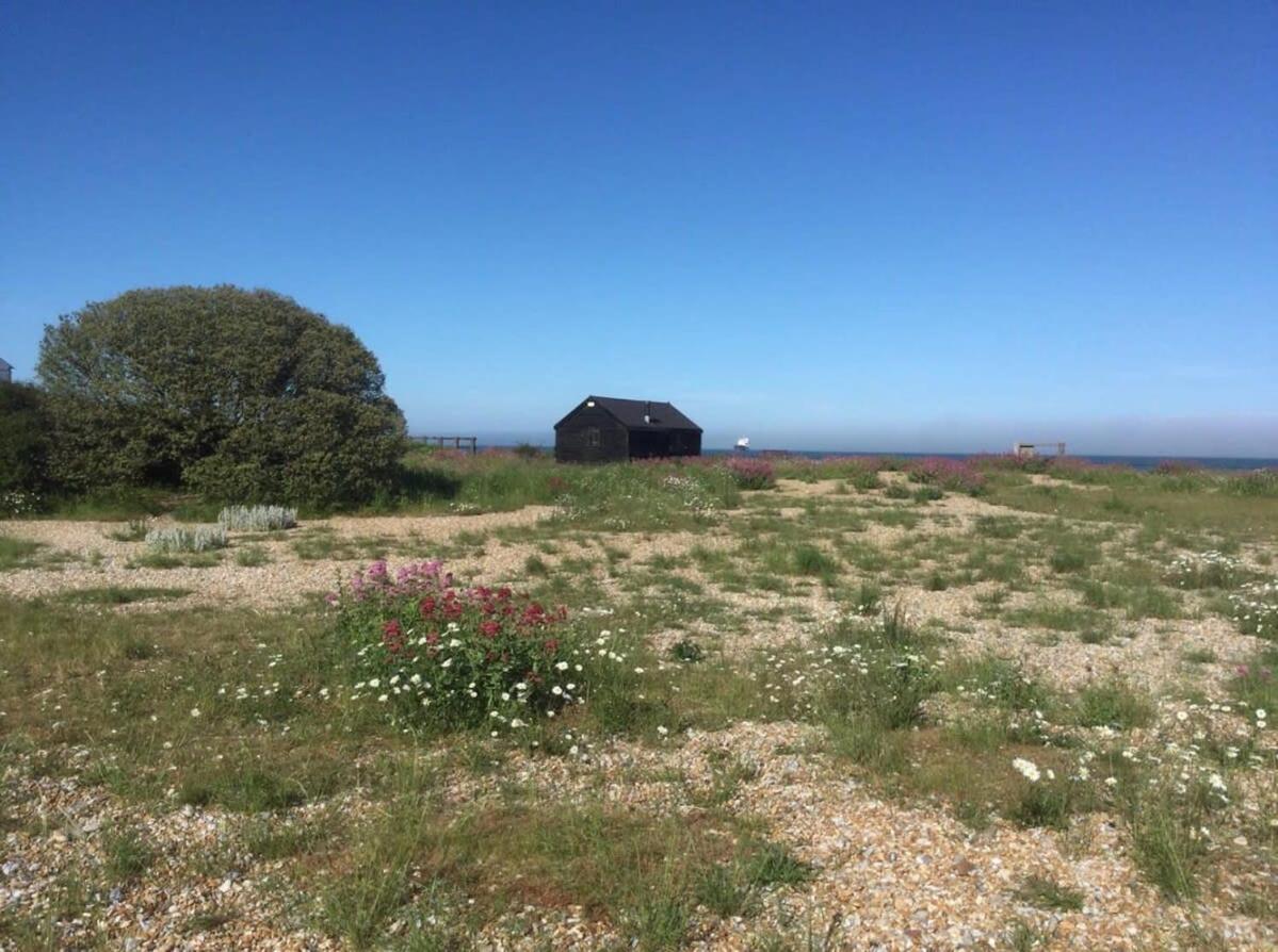 Mariner'S Cottage - On Kingsdown Beach دييْل المظهر الخارجي الصورة
