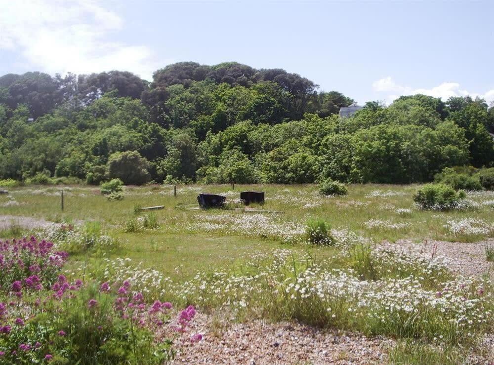 Mariner'S Cottage - On Kingsdown Beach دييْل المظهر الخارجي الصورة